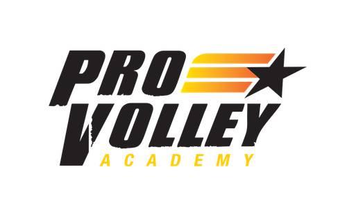 ProVolley logo white background.png