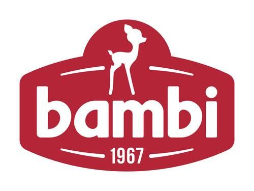 Koncern Bambi a.d.