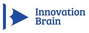 5 IB Innovation Brain