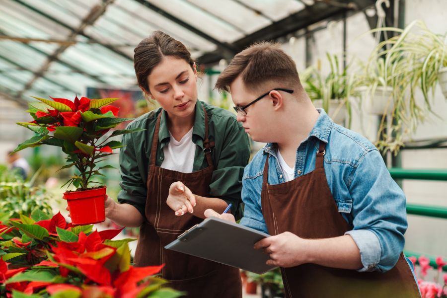 Osobe sa invaliditetom na tržištu rada