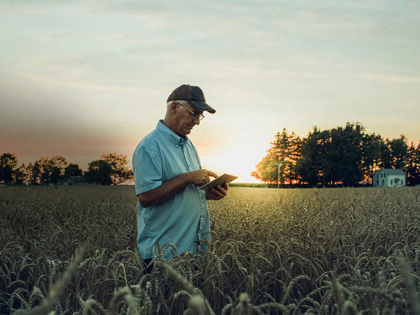 Customer Service Partner Maersk