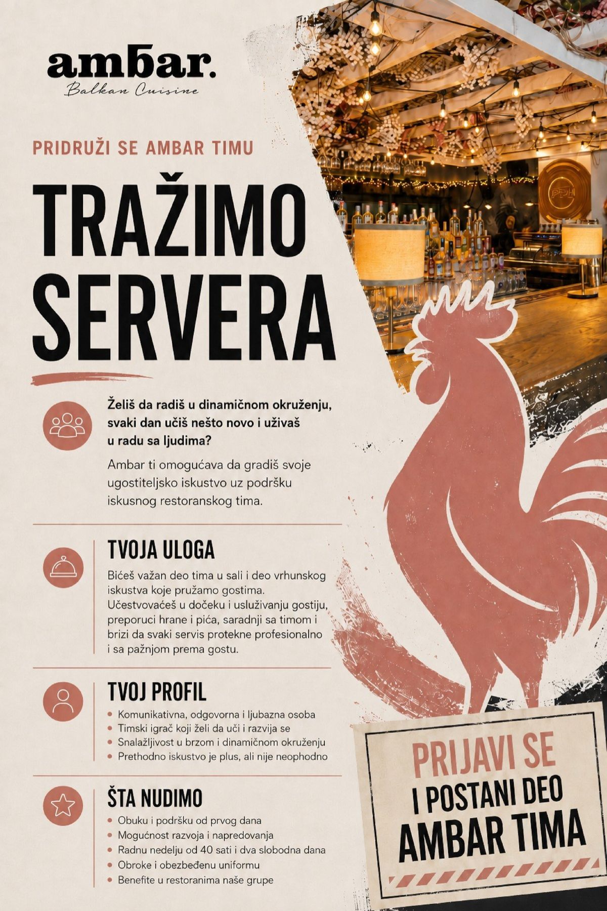 6a6b2eb49932e-Ambar-Oglas-Server-1-1-529c8ef5ee065545.jpg
