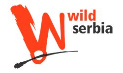 logo_37114