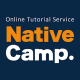 Online English Teacher (work from home)
