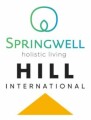 HILL International (Springwell d.o.o.)