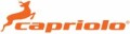 /posao/logo/capriolonovo.jpg