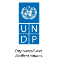 UNDP (United Nations Development Programme)