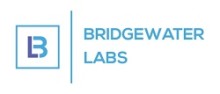 Senior Project Manager