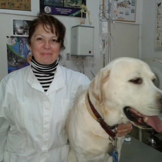Veterinari: Neopisiva je sreća i radost  kada pomognemo životinji koja je patila