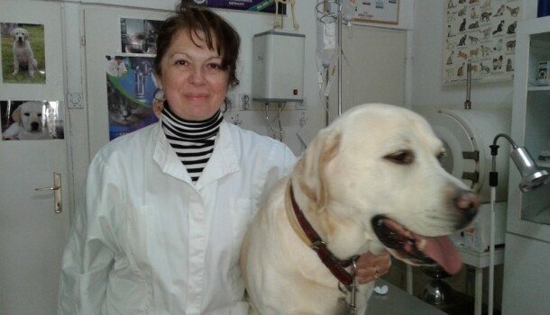Veterinari: Neopisiva je sreća i radost  kada pomognemo životinji koja je patila