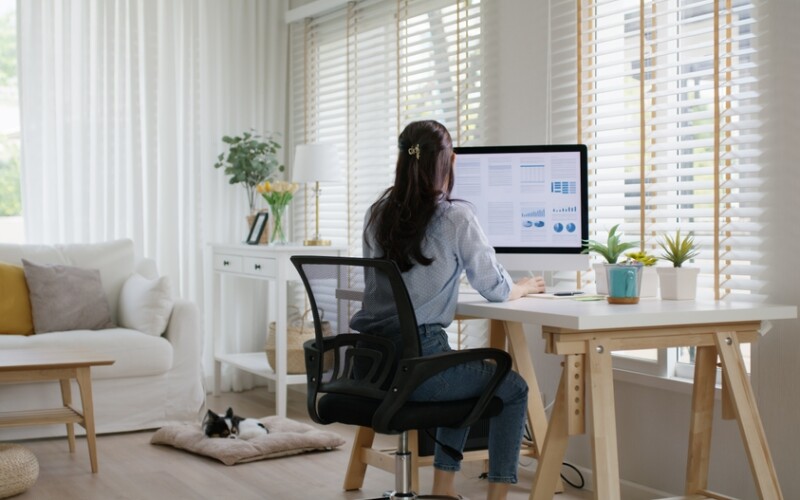 Rad od kuće: Dobri poslovu u IT-ju, logistici, marketingu čekaju na vas