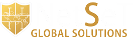 NetSeT global solutions logo